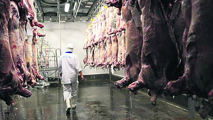 Varios frigoríficos podrían dejar de exportar carne vacuna a Israel Varios frigoríficos podrían dejar de exportar carne vacuna a Israel
