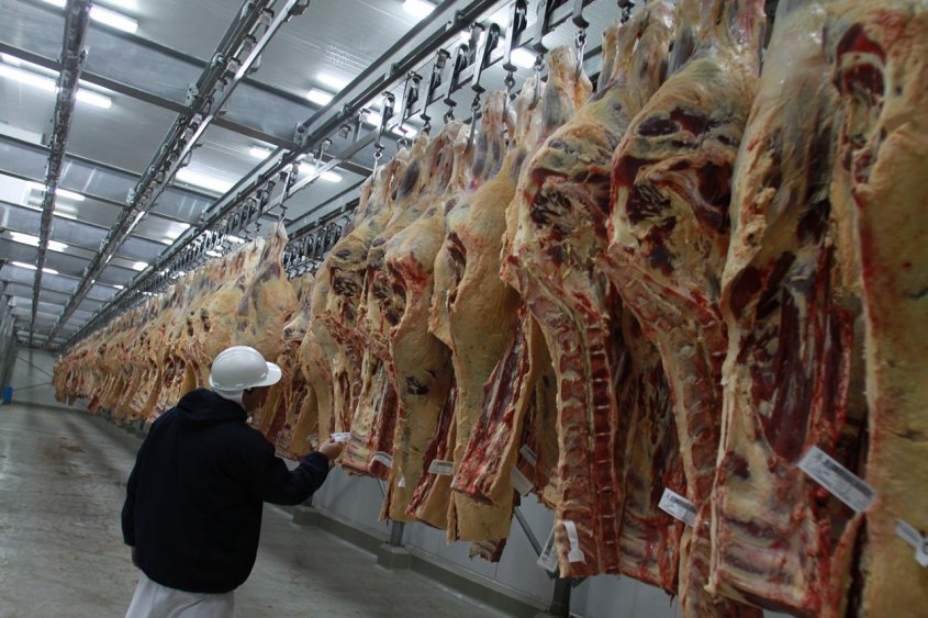 Oferta cárnica europea no conformó al Mercosur y se tensiona la negociación Oferta cárnica europea no conformó al Mercosur y se tensiona la negociación