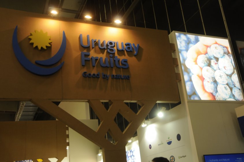 Uruguay Fruits, la marca nacional para potenciar venta de frutas Uruguay Fruits, la marca nacional para potenciar venta de frutas