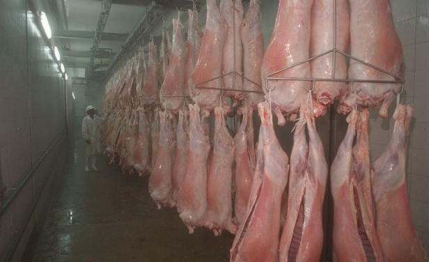 EE.UU. redacta la norma para habilitar carne ovina EE.UU. redacta la norma para habilitar carne ovina
